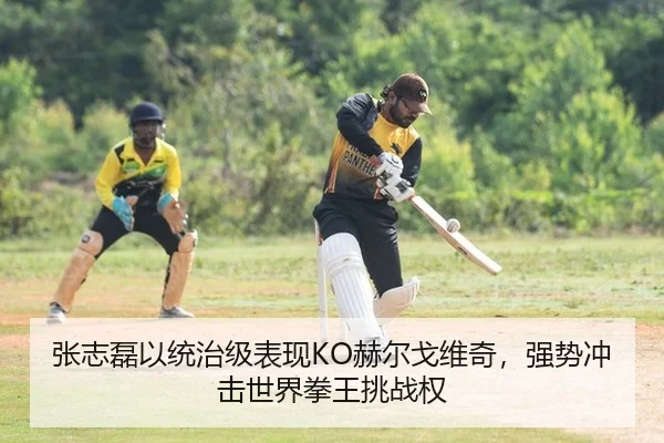 张志磊以统治级表现KO赫尔戈维奇，强势冲击世界拳王挑战权